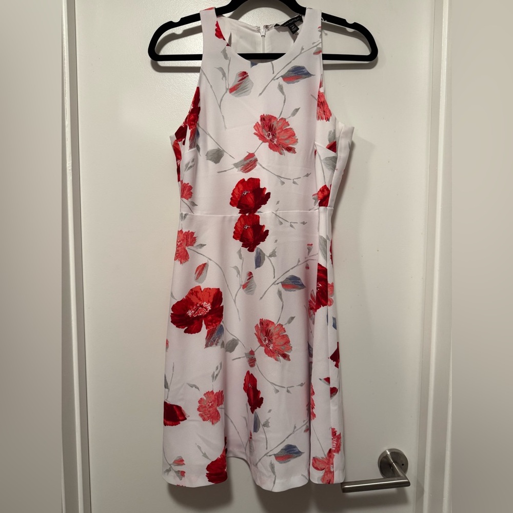 Banana Republic White and Red Dress